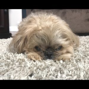 Meet your Posher, Kristin